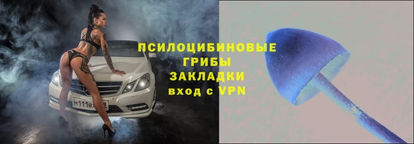 PSILOCYBIN Осташков